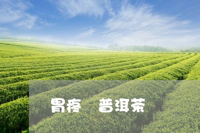 胃疼 普洱茶/2023042962763